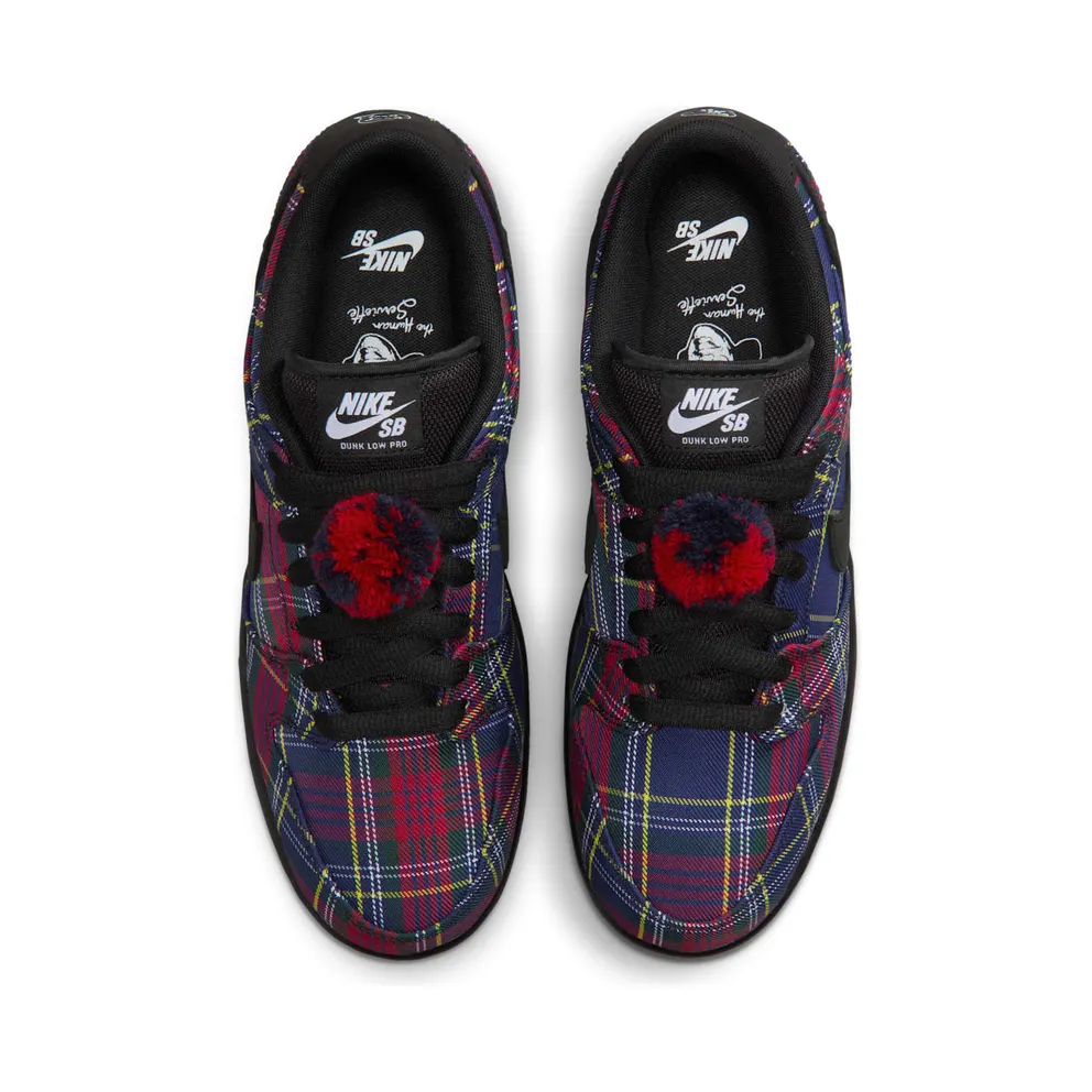 Nike SB Dunk Low “Nardwuar” (II1493-600)