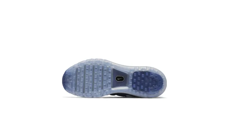 Nike Air Max 2016 Loyal Blue Mango Loyal Blue/Summit White (806771-411)