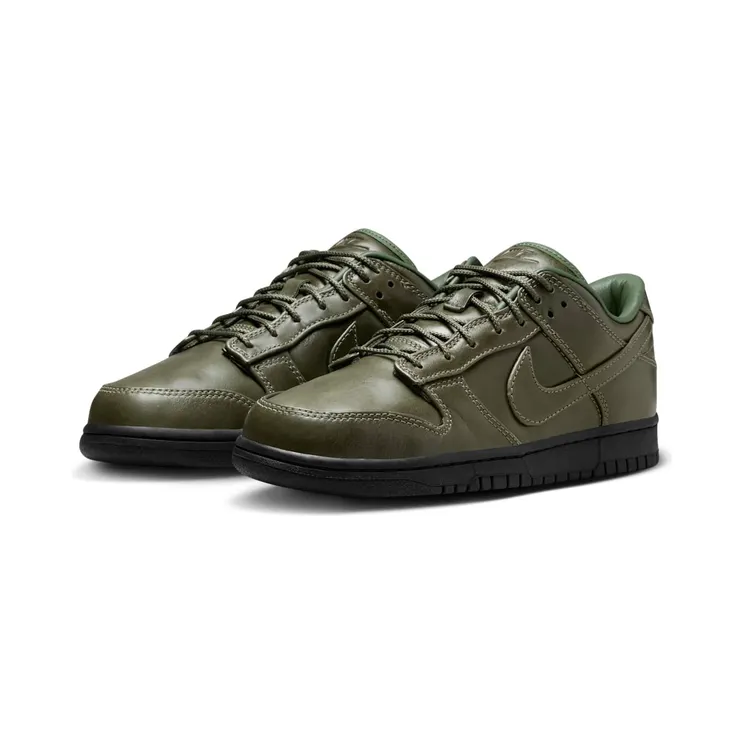 nike-dunk IQ3342-300