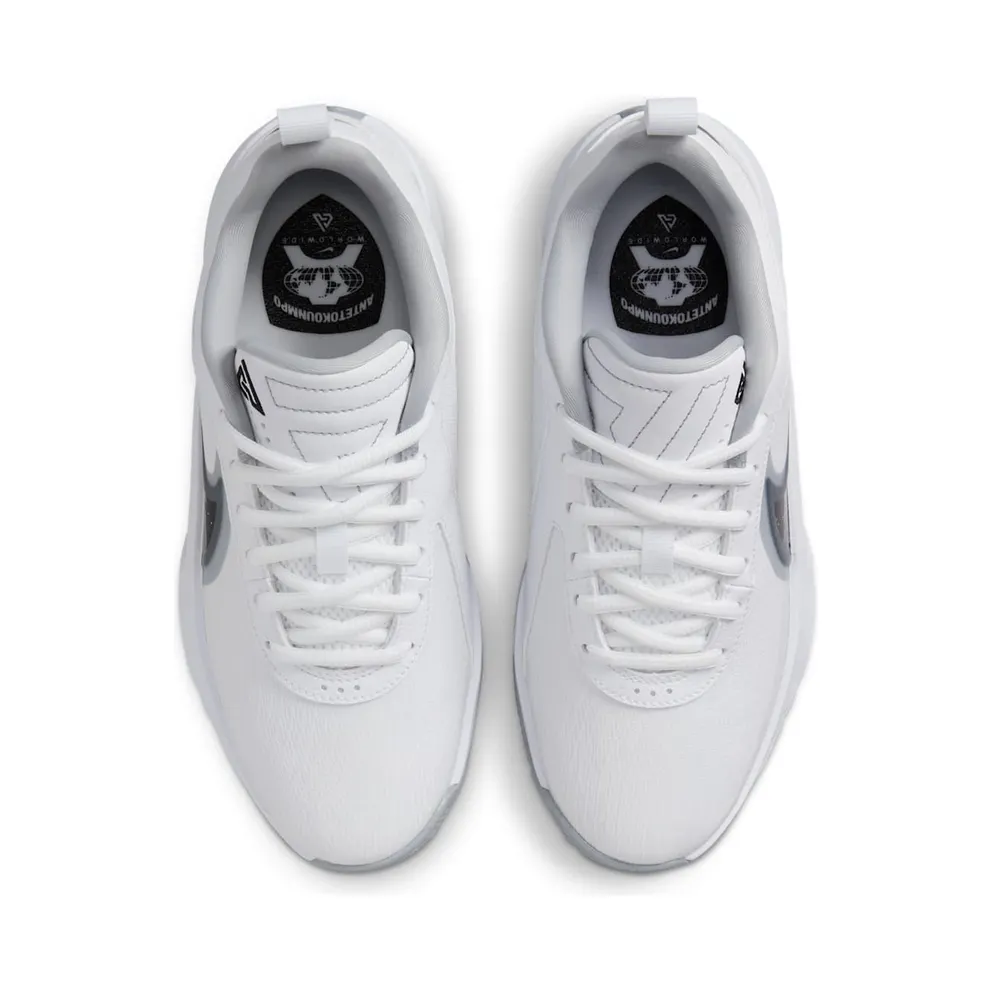 Nike Giannis Zoom Freak 6 “White / Wolf Grey / Black” (FQ7378-101)