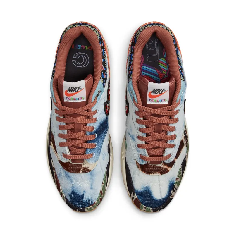 Nike x Concepts Air Max 1 SP Heavy (DN1803-900)