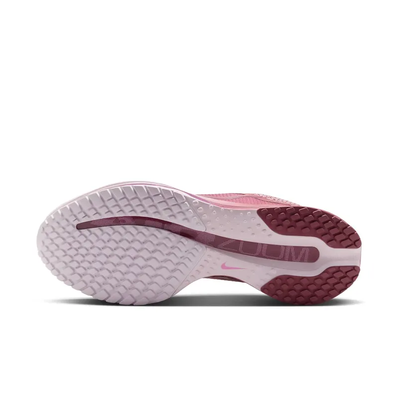 Nike Pegasus Pink Smoke/Light Magenta/Bleached Lilac/Pink Smoke (HQ2593-607)