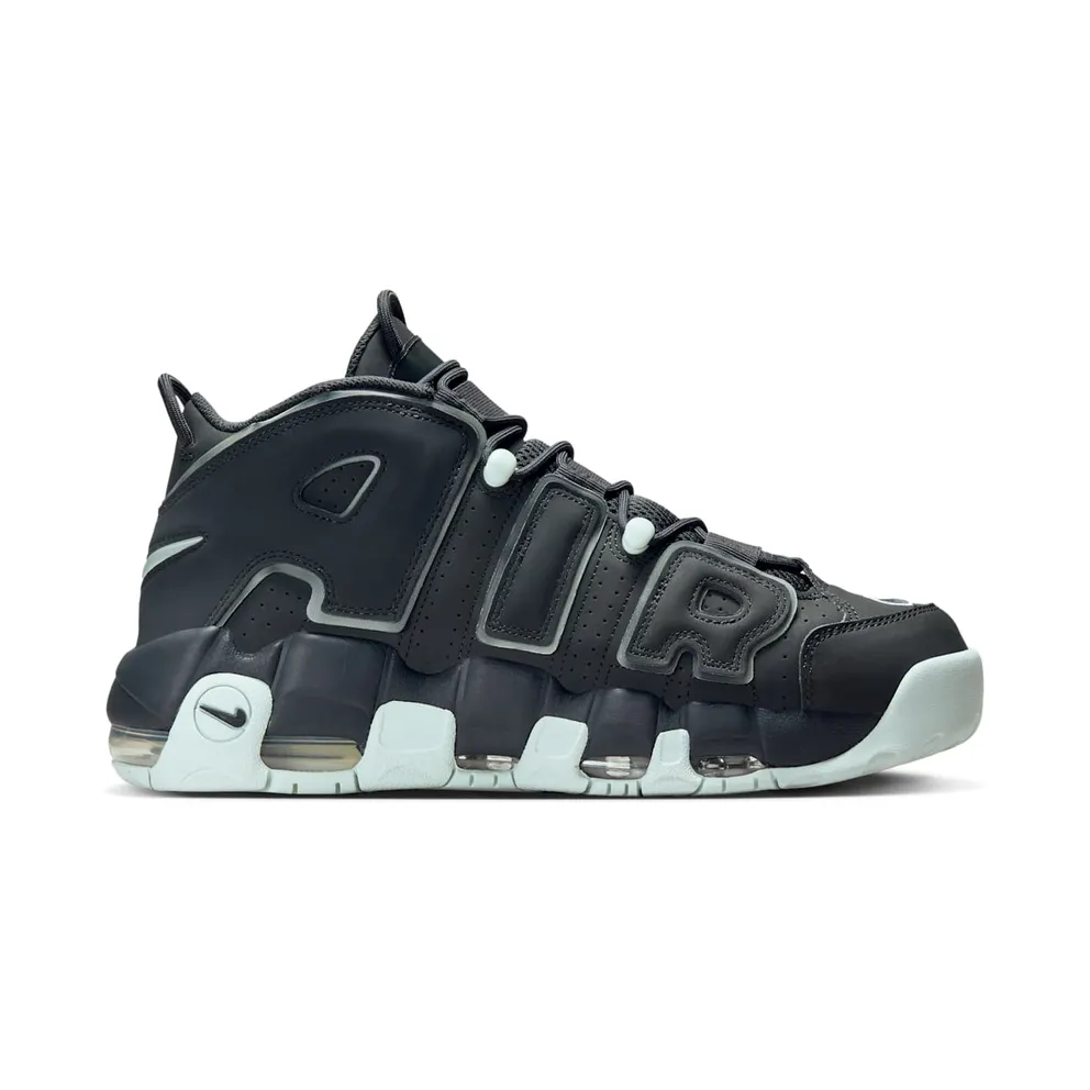 Nike Air More Uptempo 96 Dark Smoke Grey (FJ4181-001)