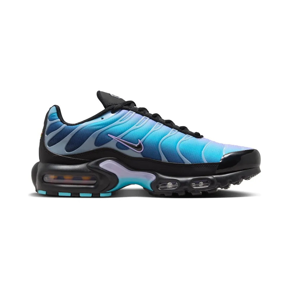 Nike Air Max Plus Black Hydrangeas (HV2510-001)