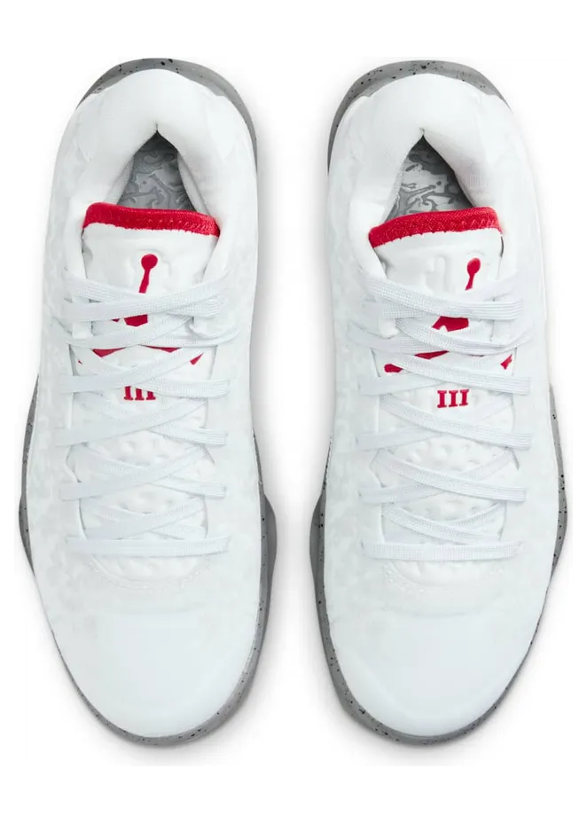 air-jordan-10 DV3869-106