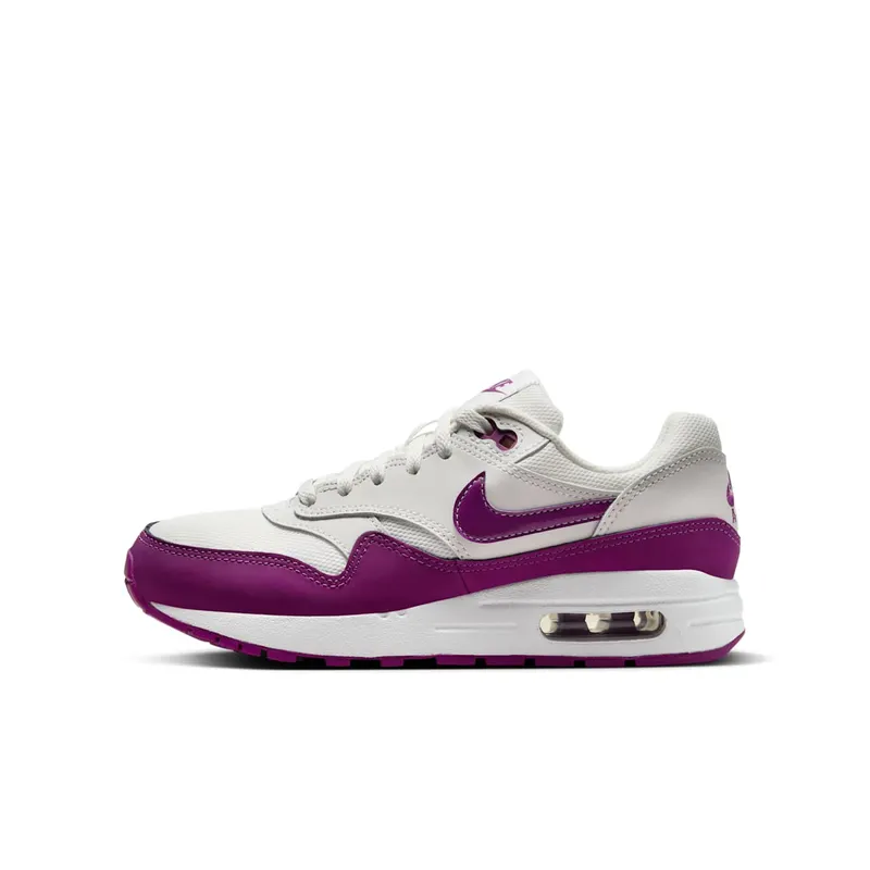 Nike Air Max 1 Summit White Viotech (DZ3307-109)
