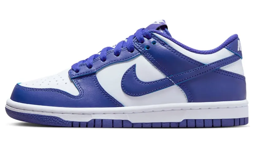 Nike DUNK LOW GS “CONCORD” (FB9109-106)