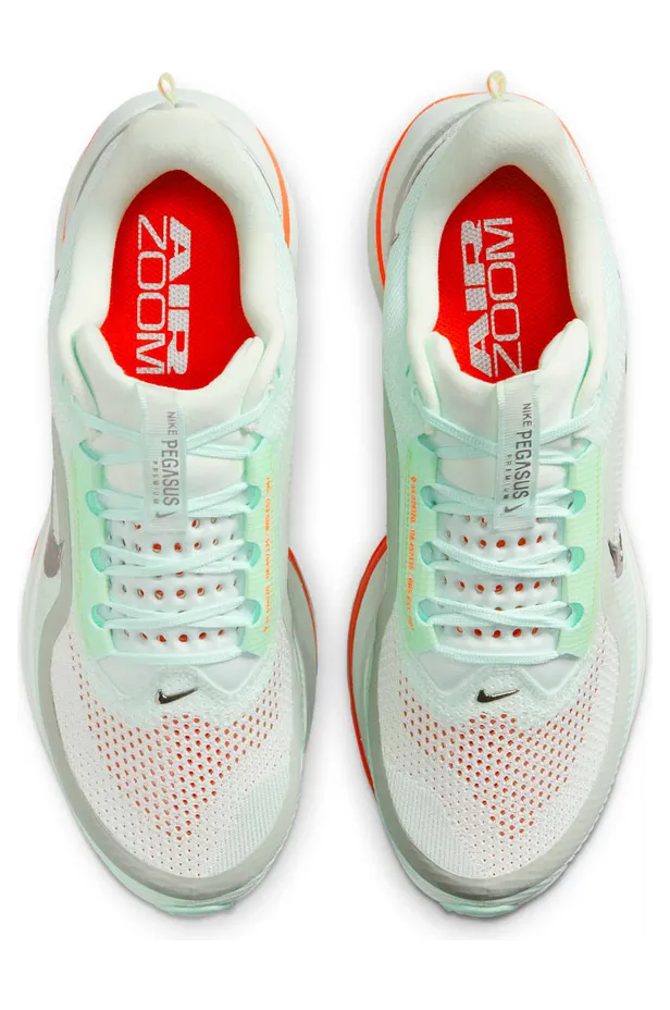 nike-air-pegasus HQ2592-301