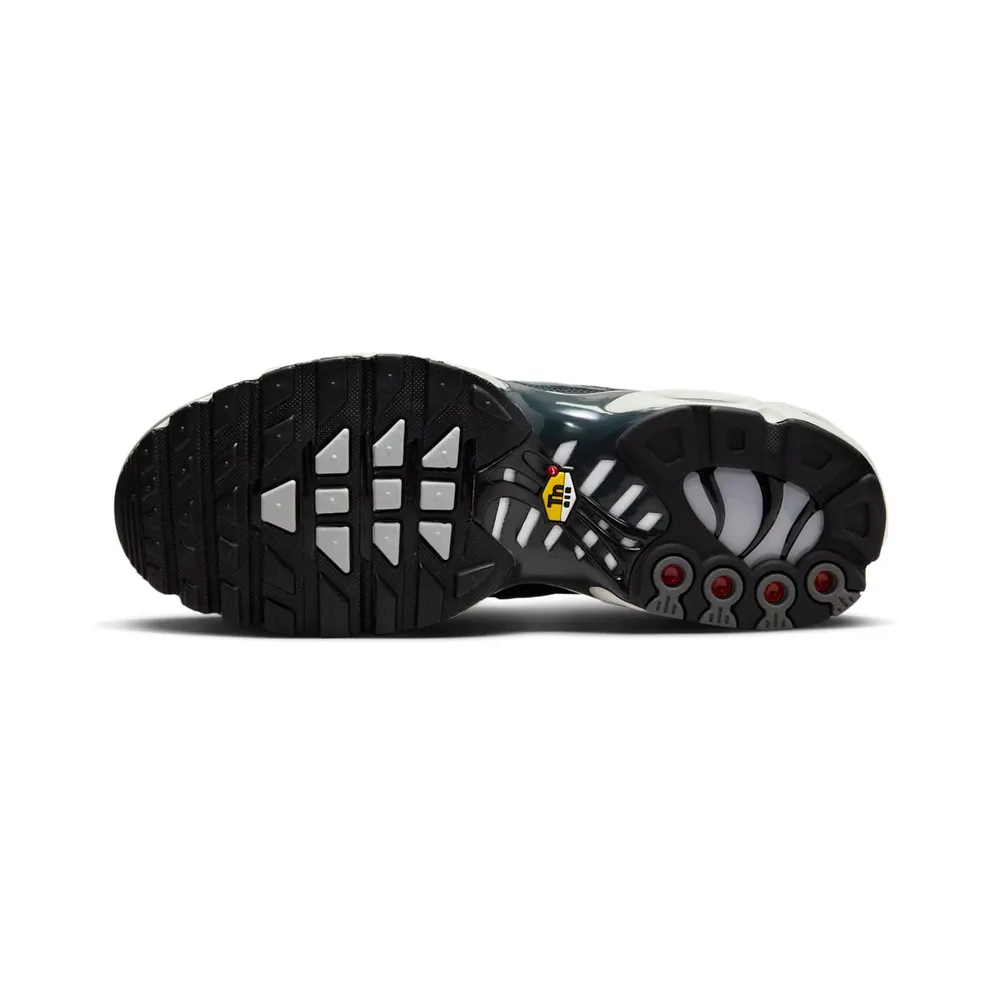 Nike Air Max Plus Greyscale Cool Grey (DZ2655-001)