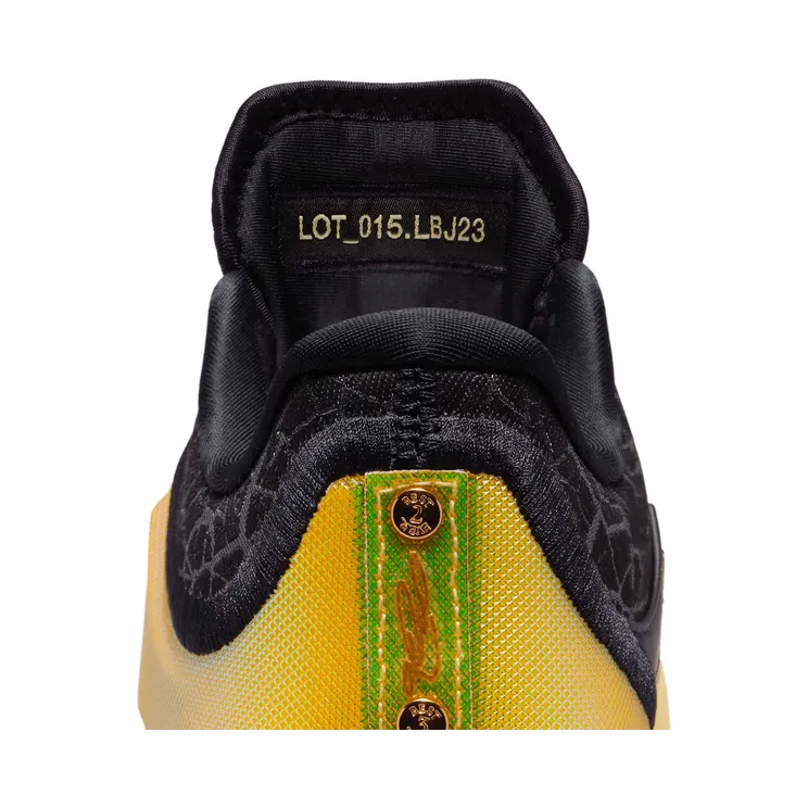 nike-lebron IX4878-005