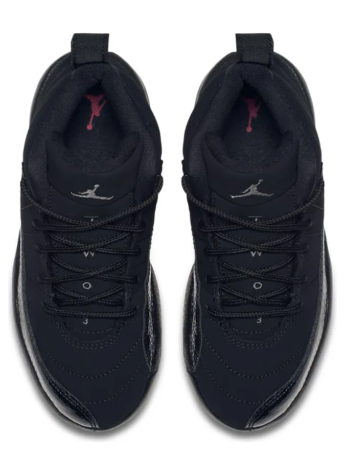 air-jordan-12 510816-006