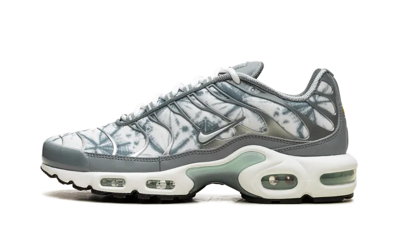 Nike Air Max Plus “Waterway” (FV0394-300)
