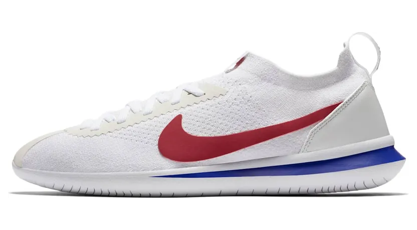 Nike Flyknit AA2029-100