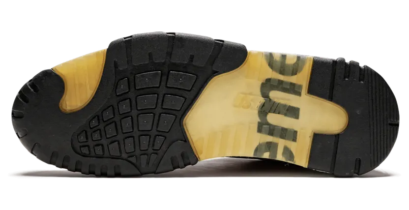nike-air-trainer-2 317646-661