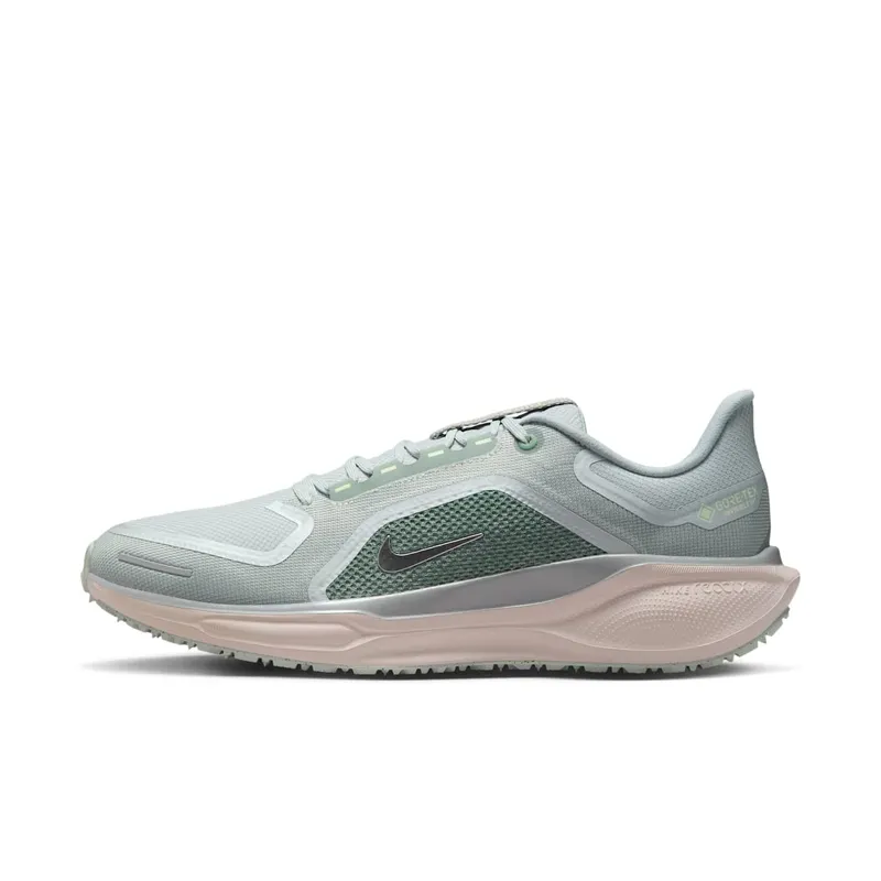 Nike Air Zoom Pegasus 41 Gore-Tex Light Pumice Metallic Silver (FQ1356-007)