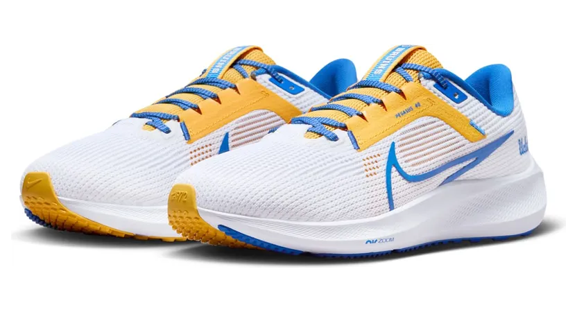 nike-air-pegasus DZ5988-100