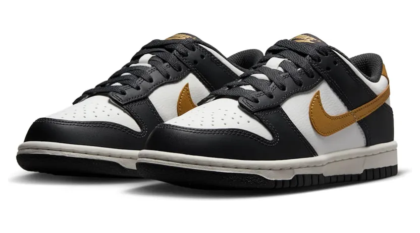nike-dunk HV2533-100