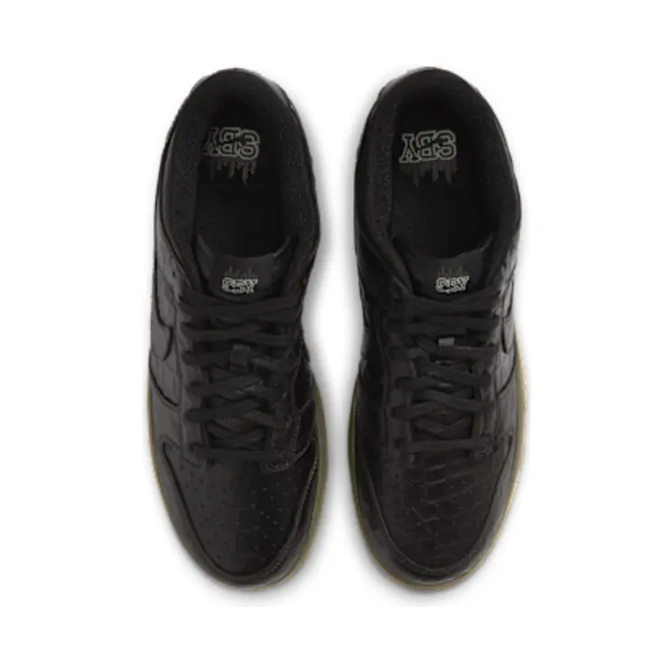 nike-dunk IX5169-300