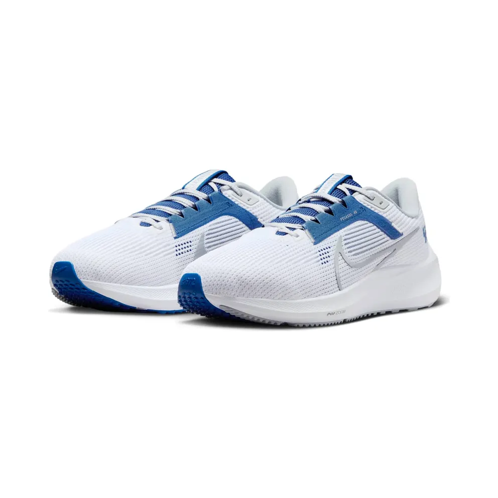 Nike Pegasus 40 Kentucky (DZ5986-100)