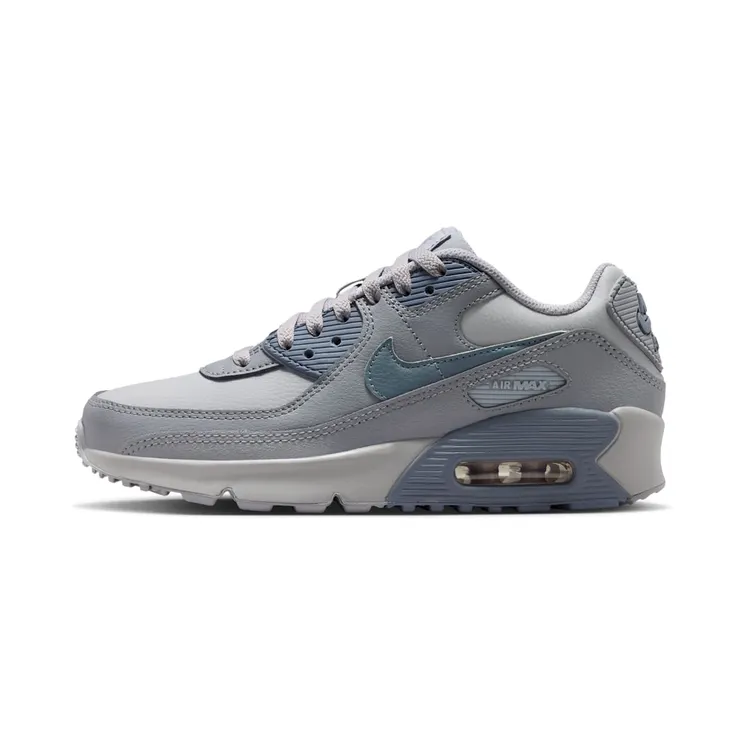 Nike Air Max 90 LTR Wolf Grey Stealth Armory “Wolf Grey / Stealth / Armoury Blue” (CD6864-032)