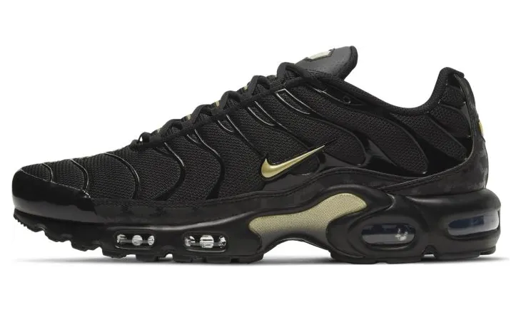 Nike Air Max Plus Zwart (DC4118-001)