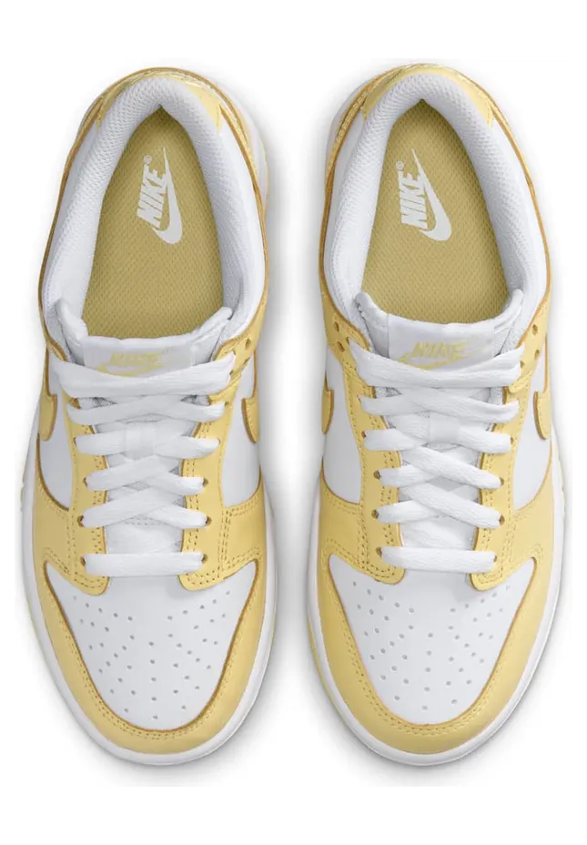 nike-dunk FB9109-126