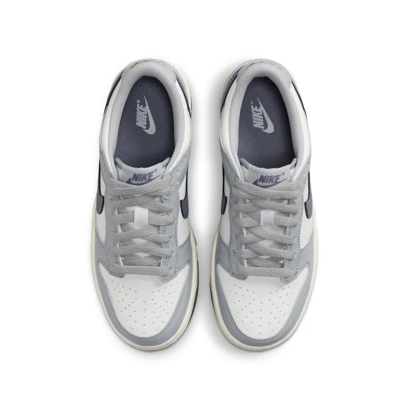 Nike Dunk Low SE Light Carbon Grey (GS) (FB9109-101)