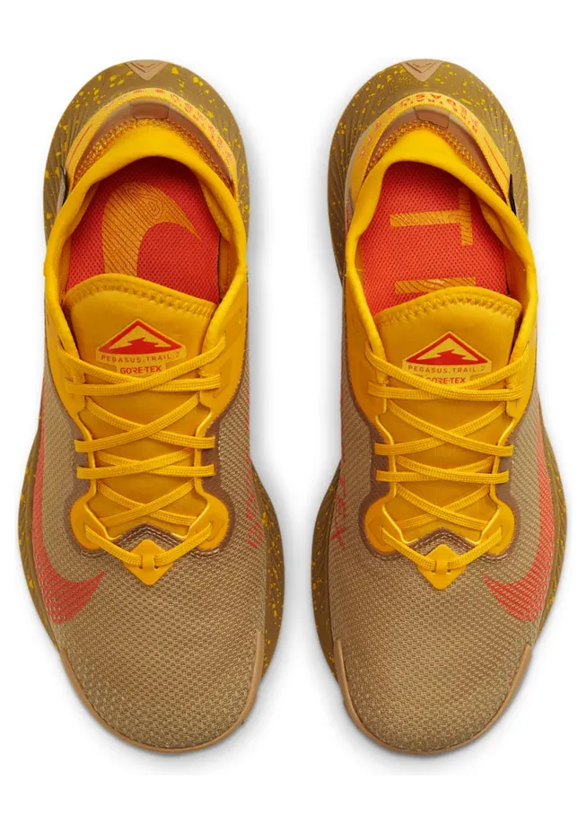 nike-air-pegasus DC1933-700