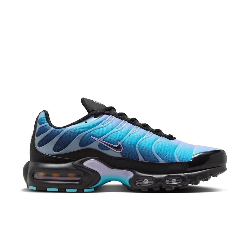 Nike Air Max Plus Black Hydrangeas (HV2510-001)