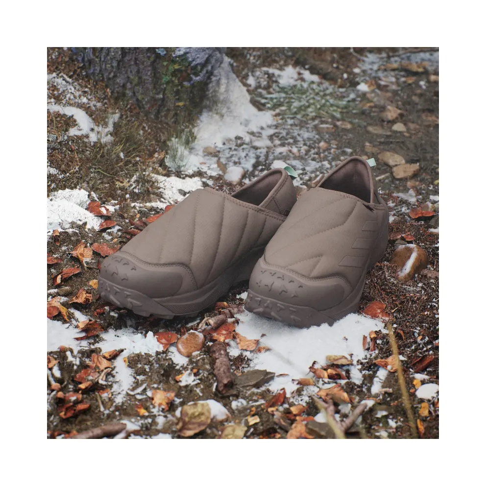 adidas Terrex Winter Cold.RDY Trace Brown Beige (JR5301)