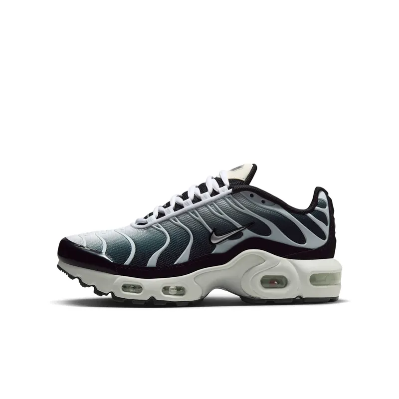 Nike Air Max Plus Black White Sail Metallic Cool Grey (CD0609-026)