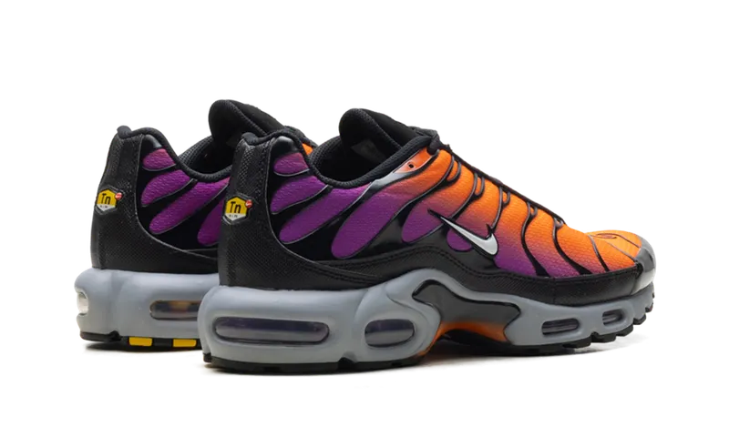 Nike Air Max Plus “Desert Sunset” (DM0032-014)
