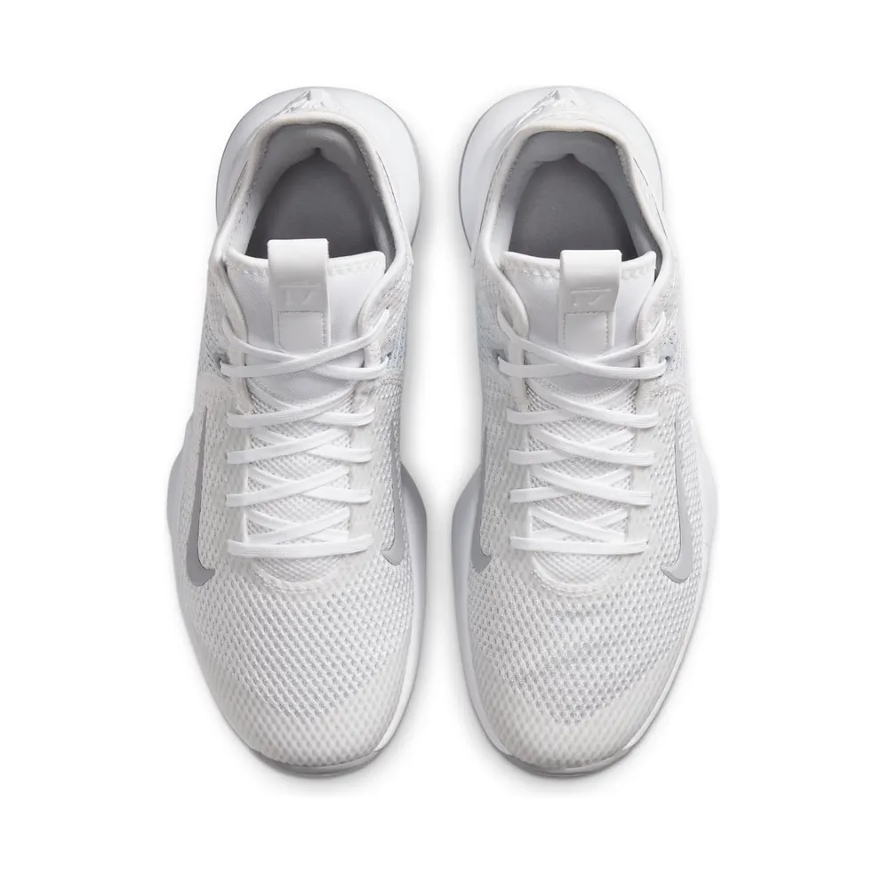Nike LeBron Witness 4 White Wolf Grey (CV4004-100)