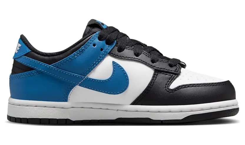 nike-dunk DH9756-104