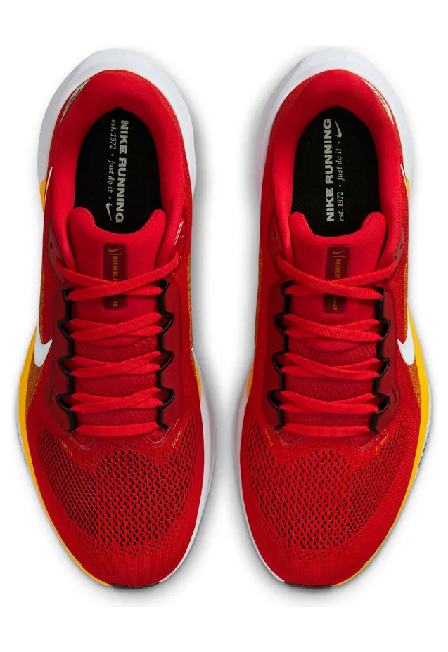 nike-air-zoom IB3209-600