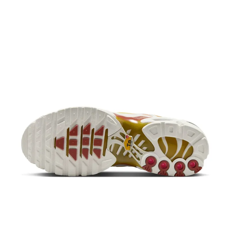 Nike Air Max Plus Grey (DZ3670-007)