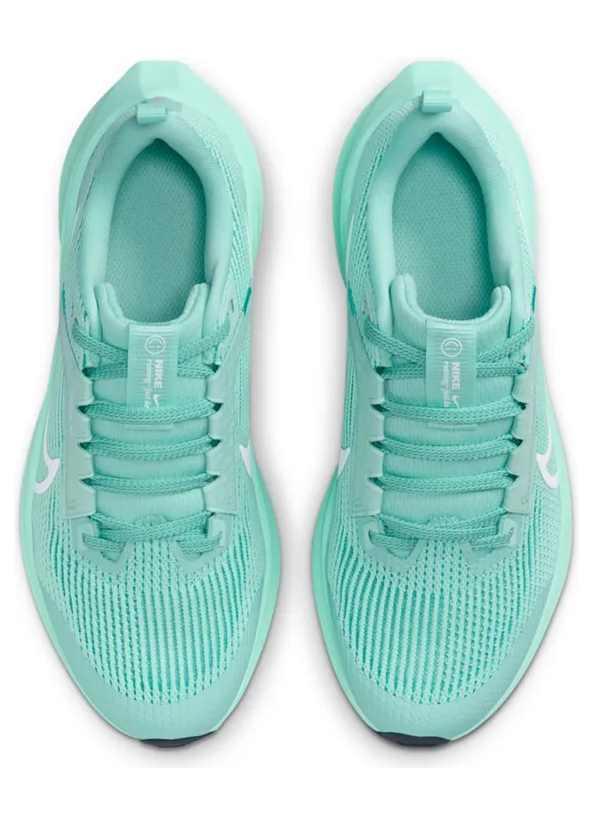 nike-air-pegasus DX2498-300