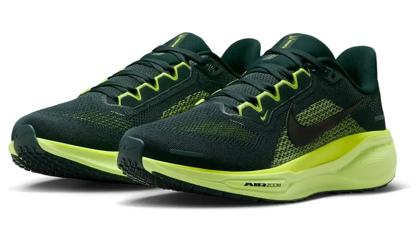 nike-air-pegasus FD2723-302