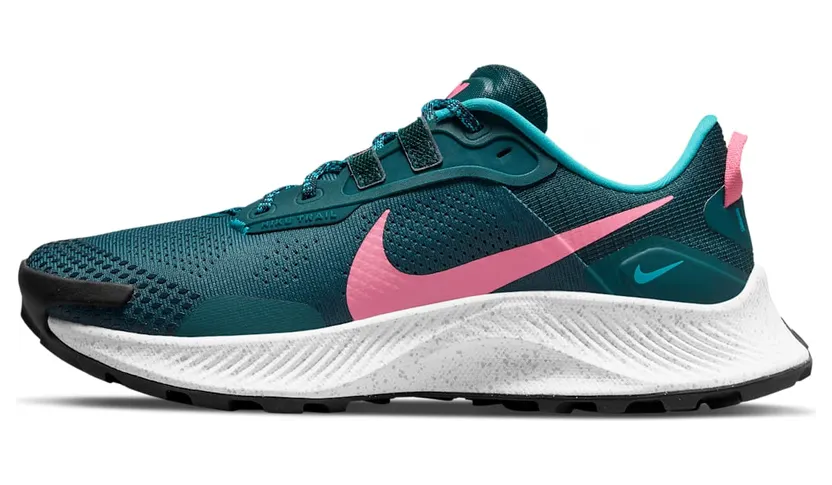 nike-air-pegasus DA8698-300