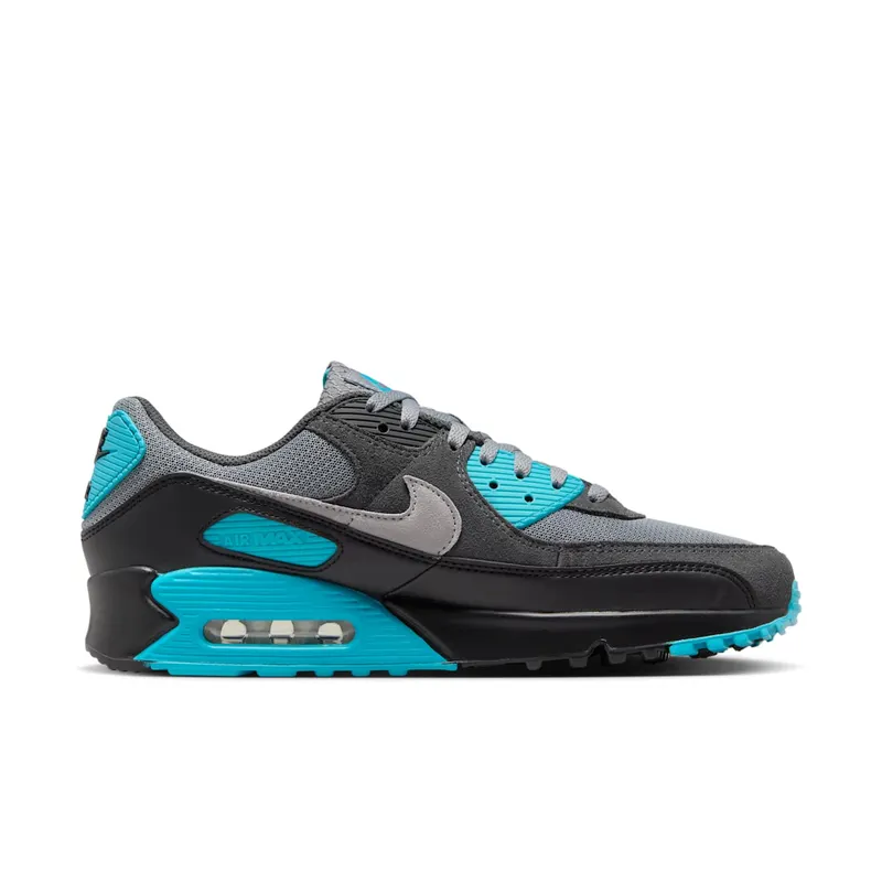 Nike Air Max 90 “Dusty Cactus” (DM0029-013)