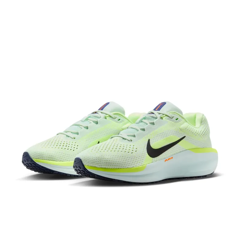 Nike Winflo 11 Green (FJ9510-304)