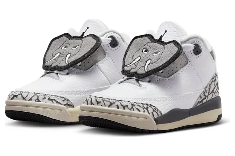 air-jordan-3 FB4415-100