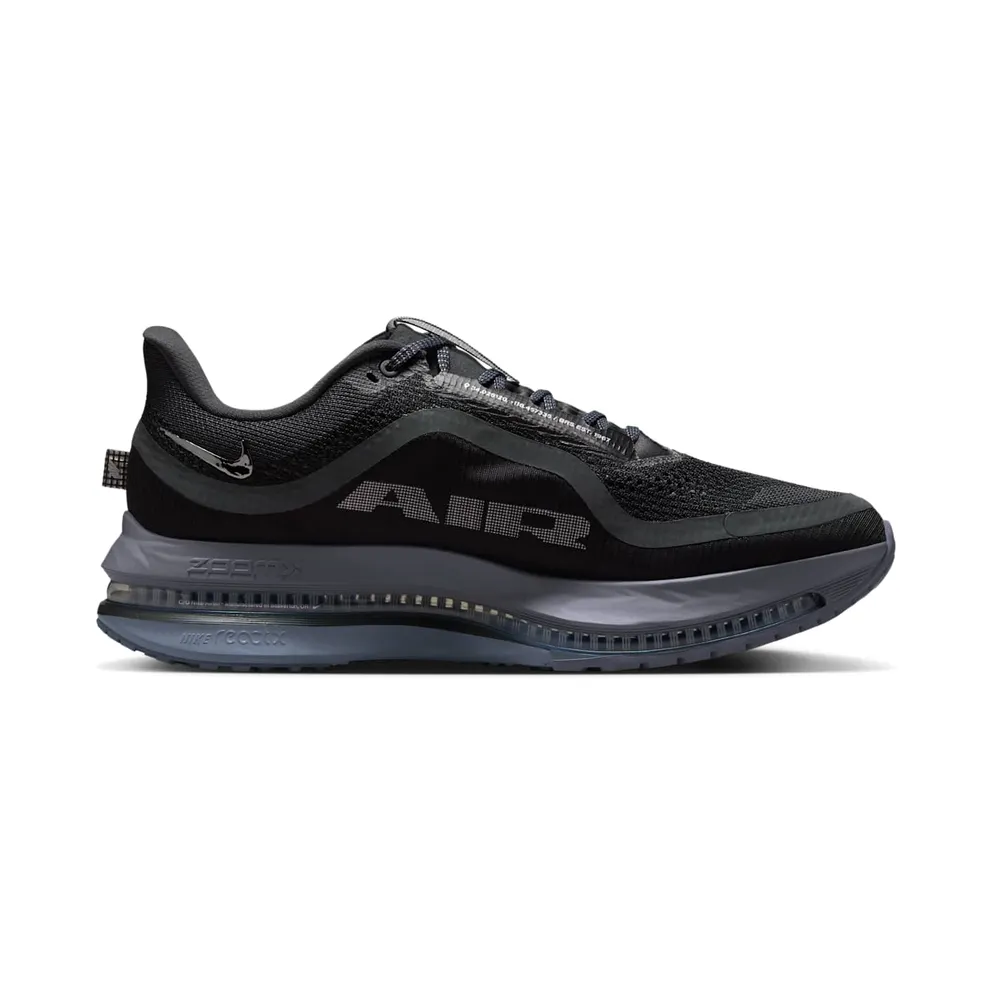 Nike Pegasus Premium “Anthracite” (HQ2592-006)