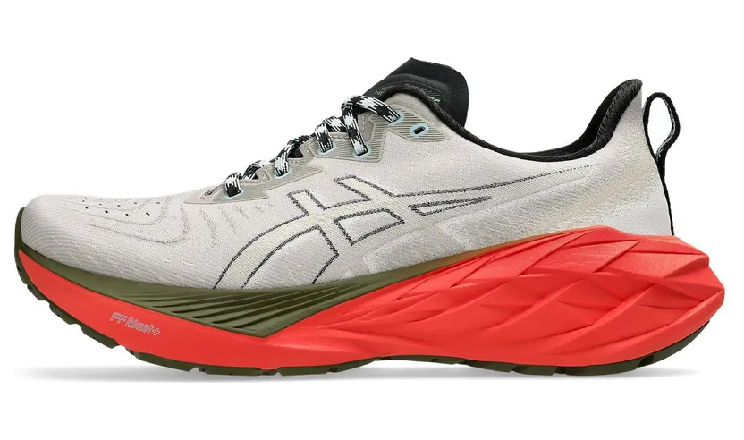 asics-novablast 1011B850-300