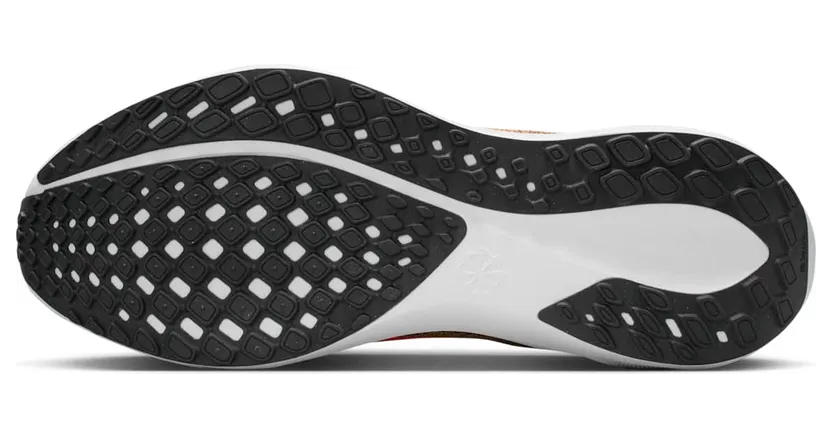 nike-air-pegasus FD2722-016