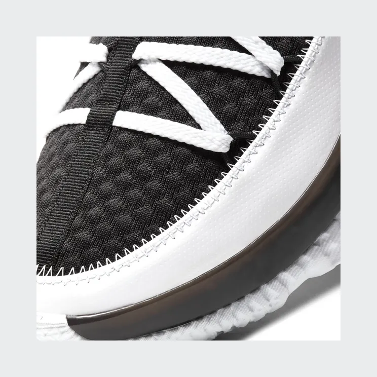 nike-lebron CD5006-101