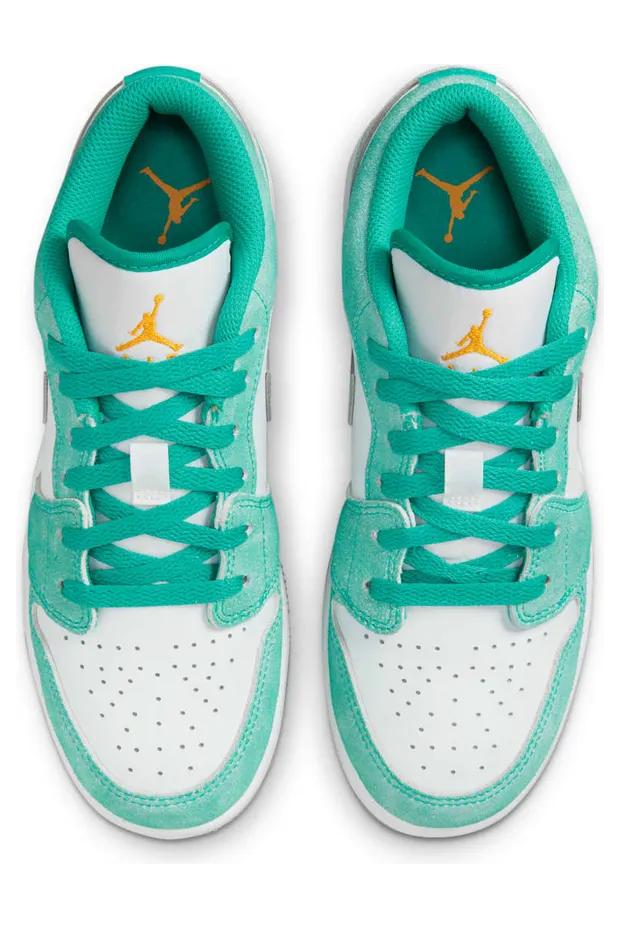 air-jordan-1 DO8244-301