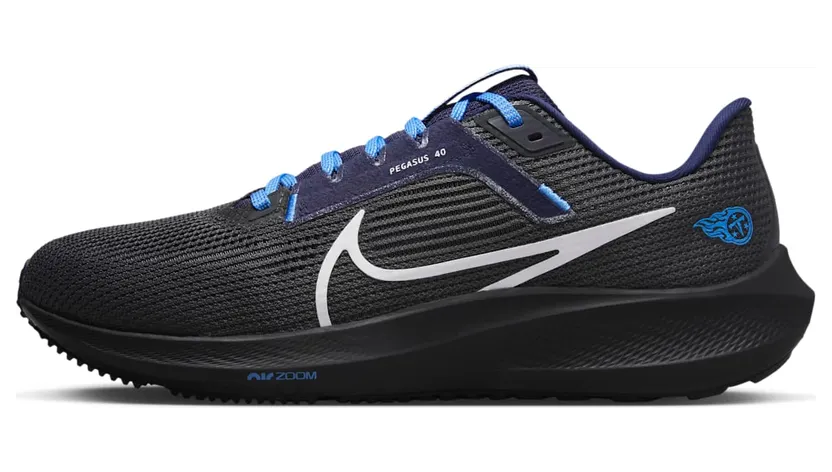 nike-air-pegasus DZ5970-001