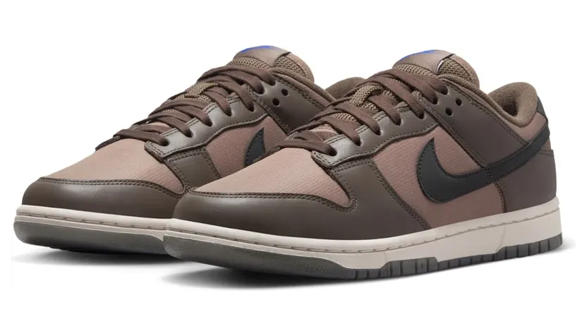 nike-dunk FZ2552-001