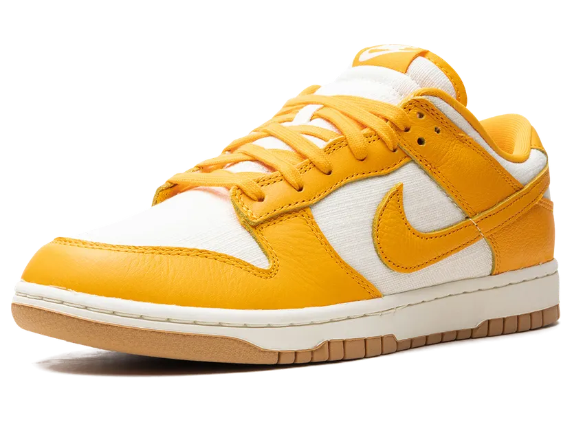 nike-dunk HF4867-739
